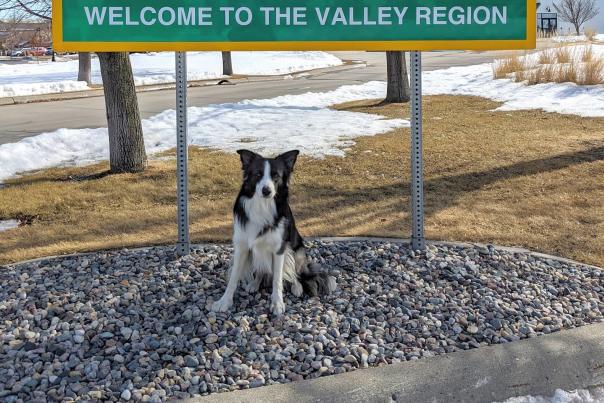 dog sitting beneath welcome to North Dakota sign
