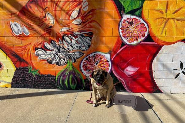 hector fruit mural florence