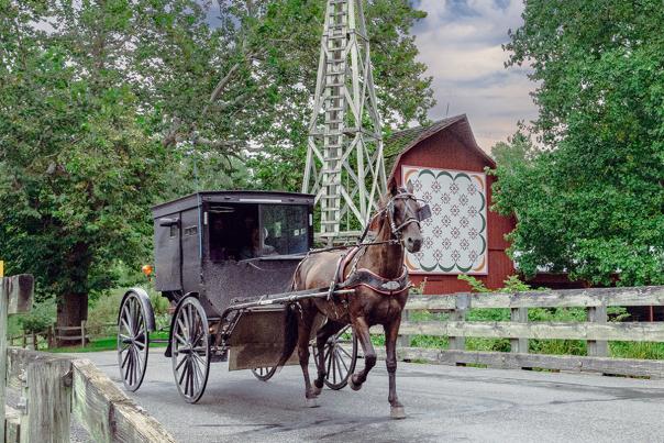 Amish Buggy Bonneyville Mill