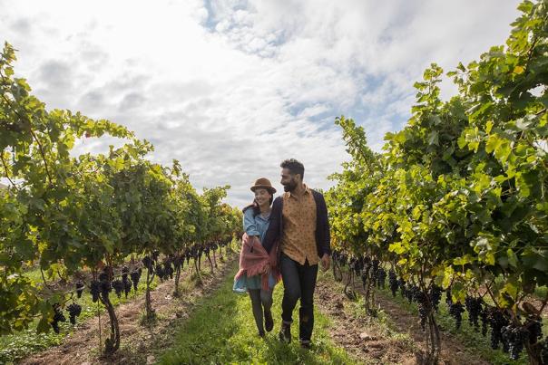 Couple Vineyard Wineries Field