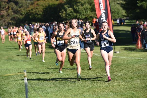 Large group of runners