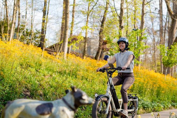 Bicycles at Crystal Bridges in Spring
