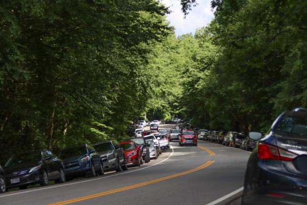 Park Experiences More Than 12 million Visits in 2020