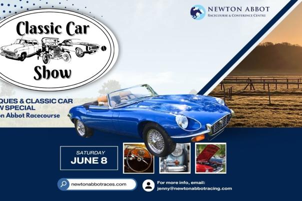 Newton abbot classic car show