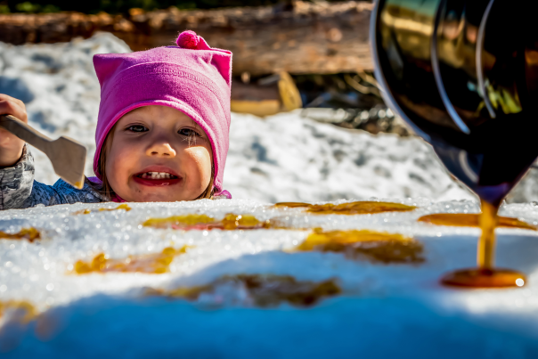 Maple Syrup Sugar Shack