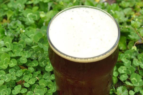 A glass full of dark beer from Akademia Brewing Co sits surrounded by clover.