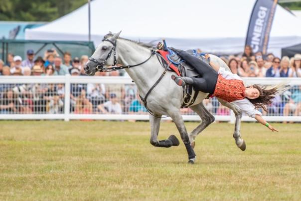 New Forest Show - Horse Show