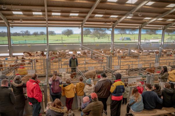 Sam at The Cotswold Farm Park talking to a crowd of people about lambing in the lambing barn