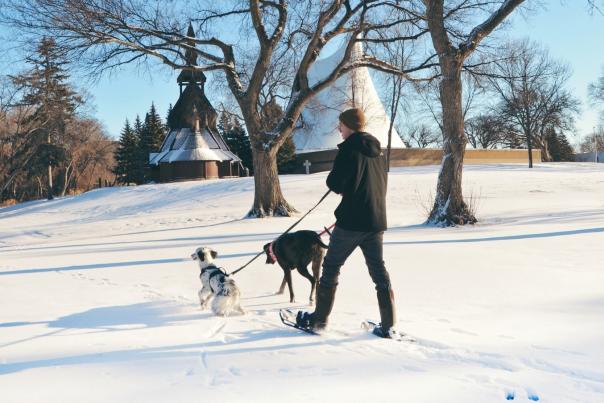 man walking in the snow with two dogs
