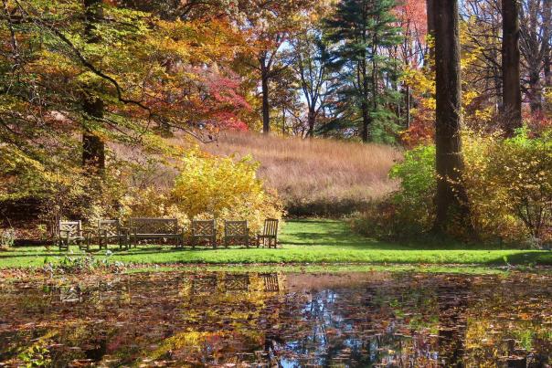 Fall at Mt. Cuba