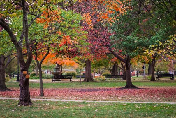 South Park Fall Autumn colors