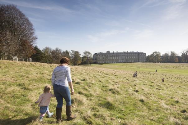 Petworth Park