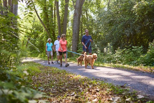 cayuga seneca canal trail