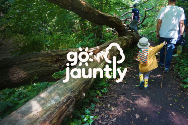 Go Jaunty Logo 2