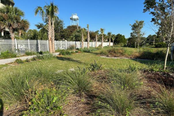 Isle of Palms EMS Access Lane