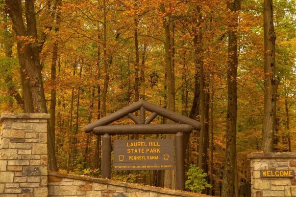 Laurel Hill State Park