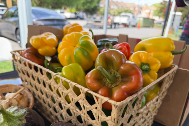 North Meck Farmers Market