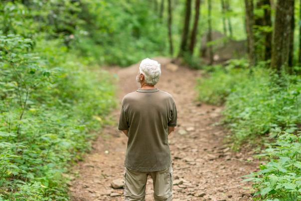 Forest Bathing