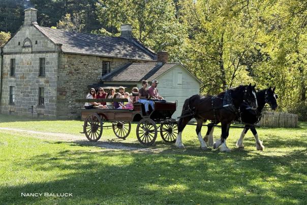 Harvest Festival at Hale Farm & Village