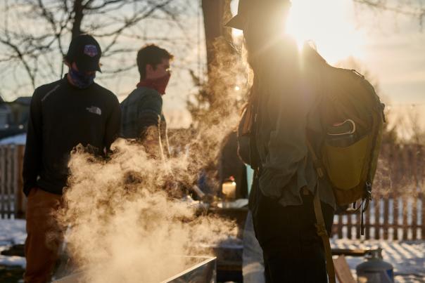 Maple Syrup TAP ONE