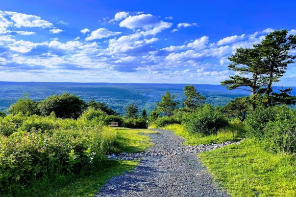 Enjoy the serene scenery at Big Pocono State Park.