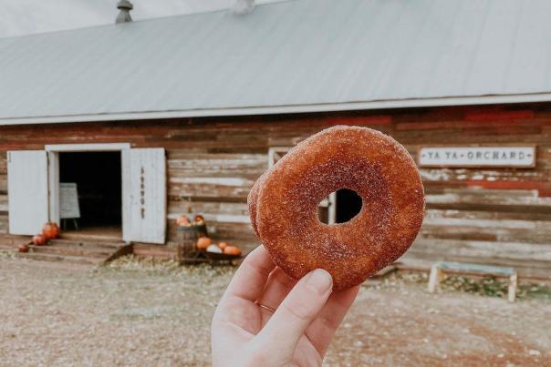 A hand holding a donut at Ya Ya Farm
