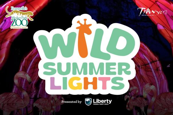 Wild Summer Lights