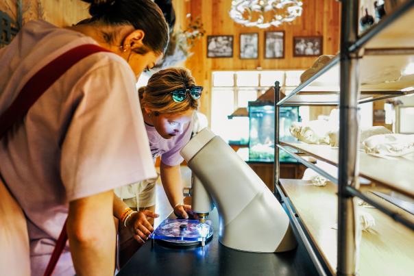 Educational Opportunities for Students in the Branson Area
