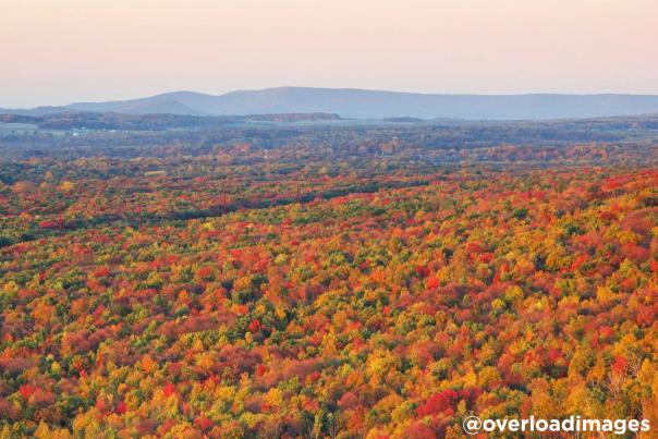 A view of the vibrant fall foliage in the Pocono Mountains.