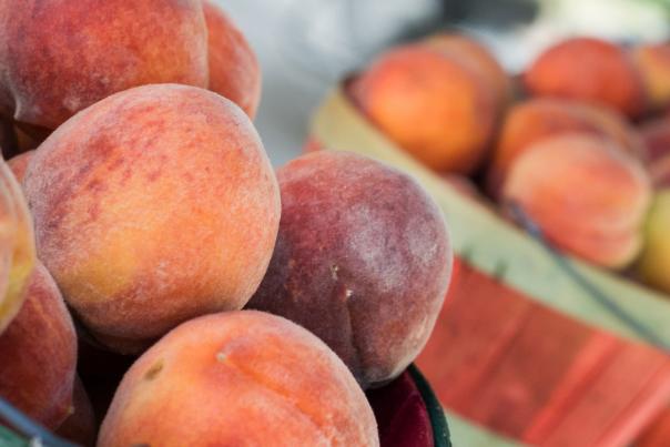 Baskets of peaches from Thompson Orchards in Four Oaks, NC.