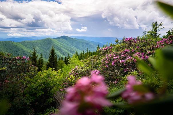 Spring in Jackson County, NC