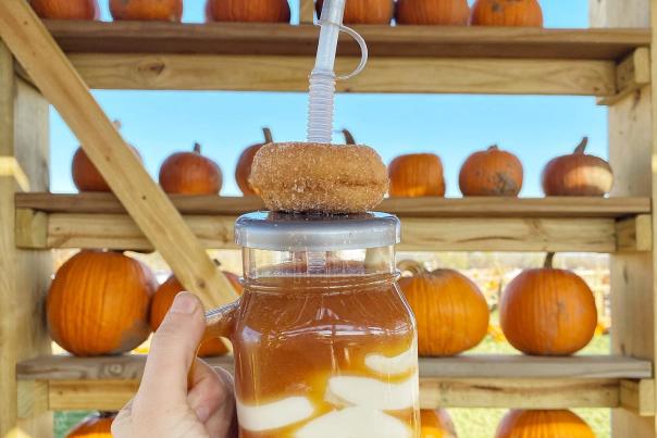 Fall shake up featuring vanilla ice cream and frozen apple cider with a cider donut on top in front of stacked pumpkins