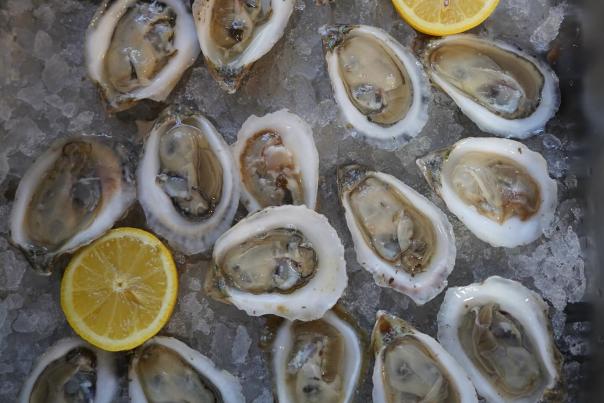 Oysters