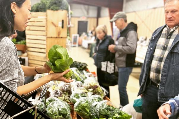 WFM Indoor