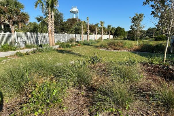 Landscaping at Isle of Palms County Park