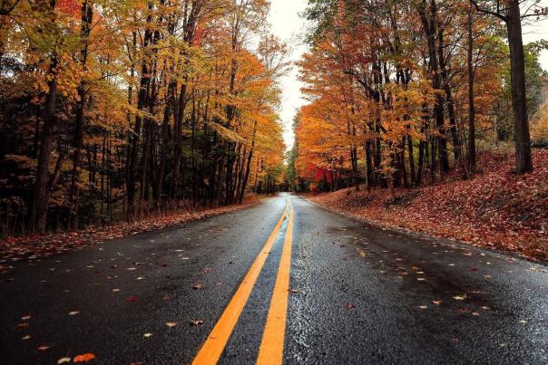 Fall Drives