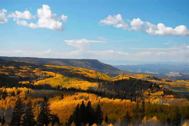 View of the Grand Mesa with Fall Colors