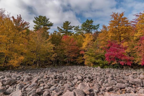 A beautiful fall view of Boulder Field at Hickory Run State Park