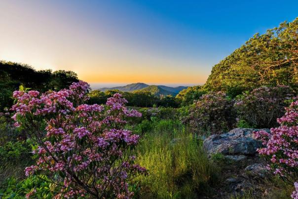 Shenandoah National Park