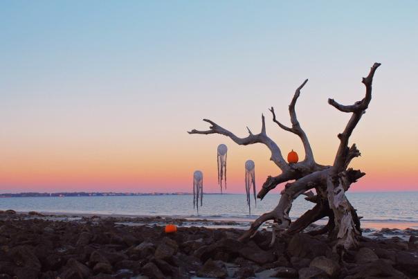 Jekyll Island Driftwood Beach during Halloween