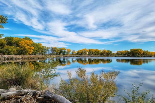 Fall Colors at Connected Lakes