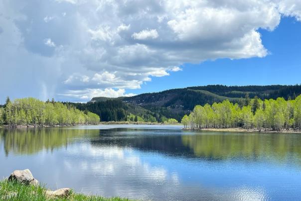 Shoreline View of a Lake on the Grand Mesa