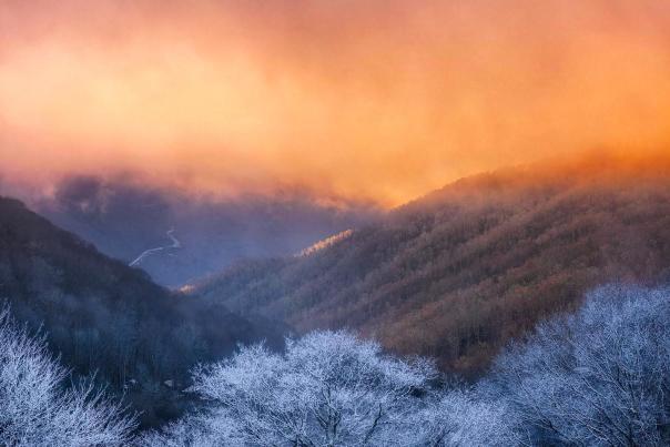 jeffreylukesutton-Instagram-1563-ig-18024538195437575 (2)