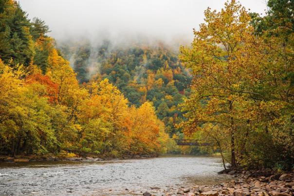A beautiful fall view of the Lehigh River.