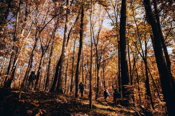 People hiking through the Hoosier National Forest during fall