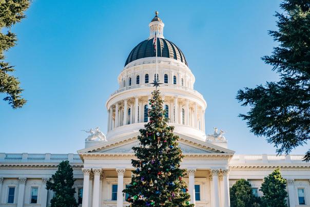 Christmas Tree in Front of Capitol