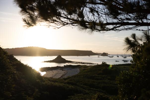 Tresco Festival of Wellness