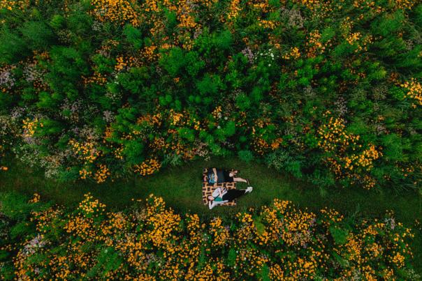 Golspie pollinator gardens