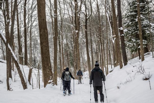 Snowshoeing at Green Lakes State Park