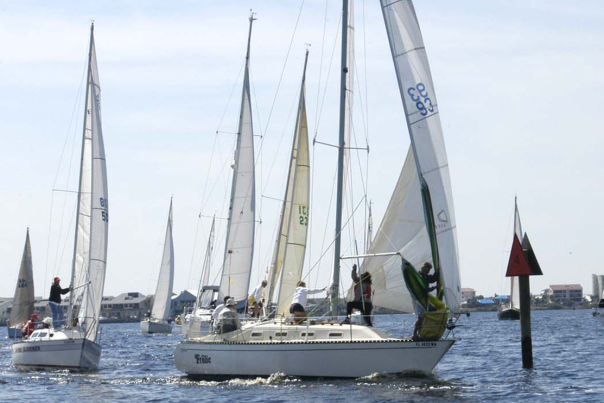 Group of Sailboats on Charlotte Harbor